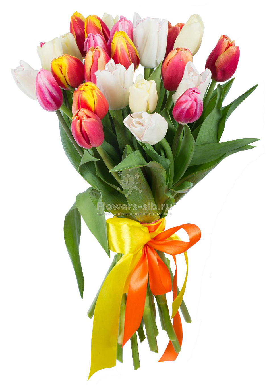 Bouquet of 25 tulips